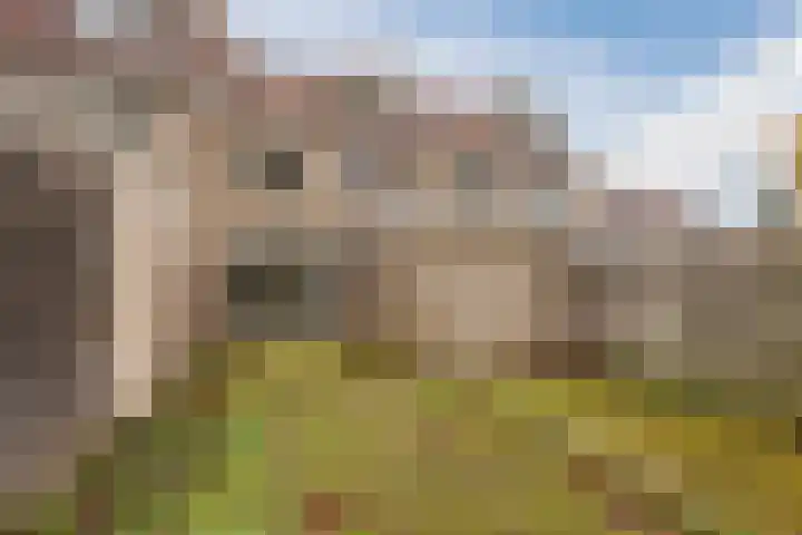 Hofkamp 121 Losser thumbnail 47