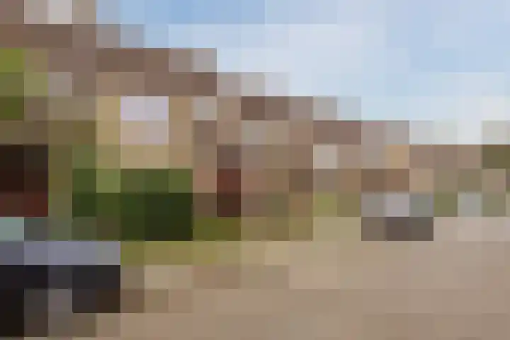 Hofkamp 121 Losser thumbnail 48