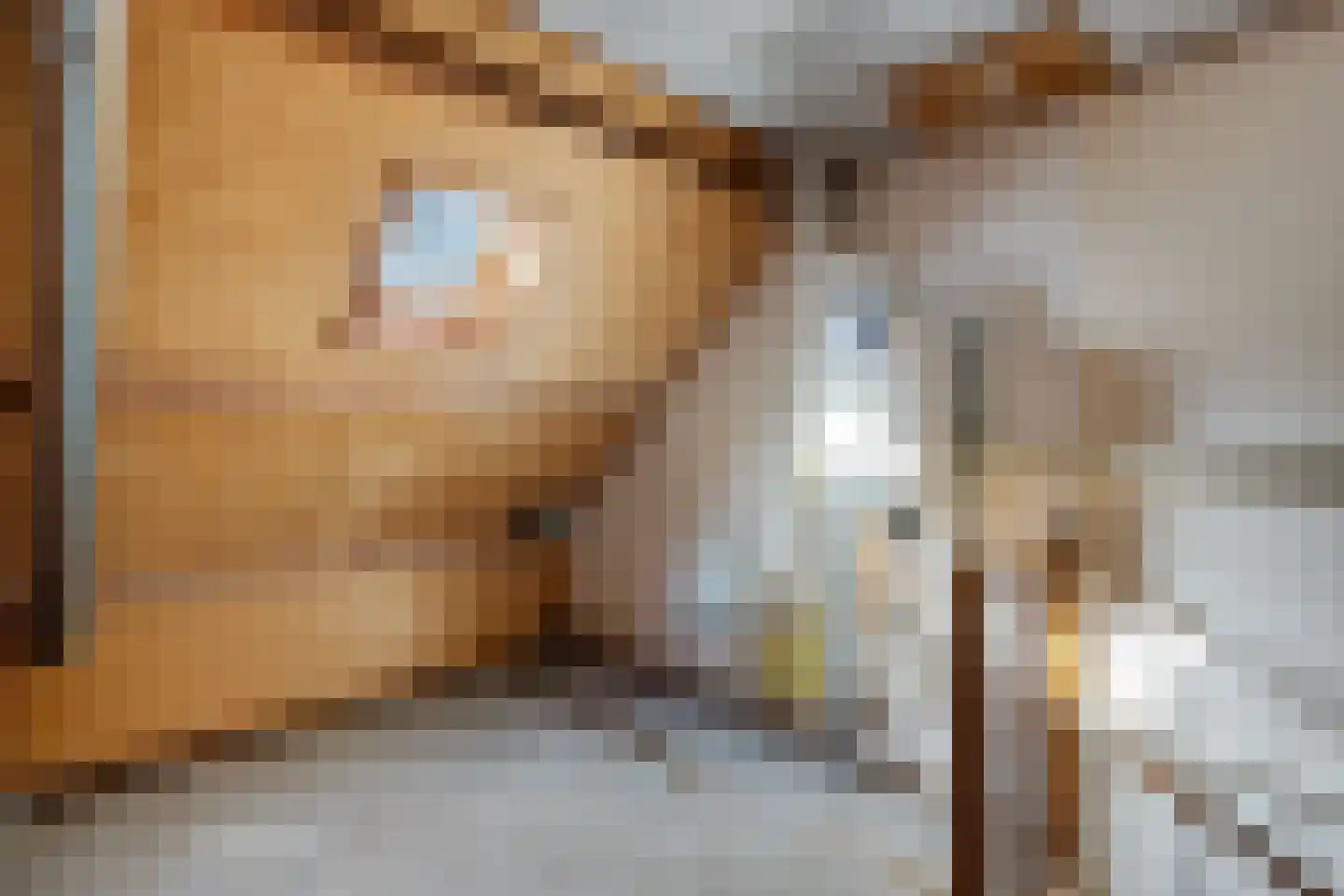 Hofkamp 137 Losser thumbnail 23