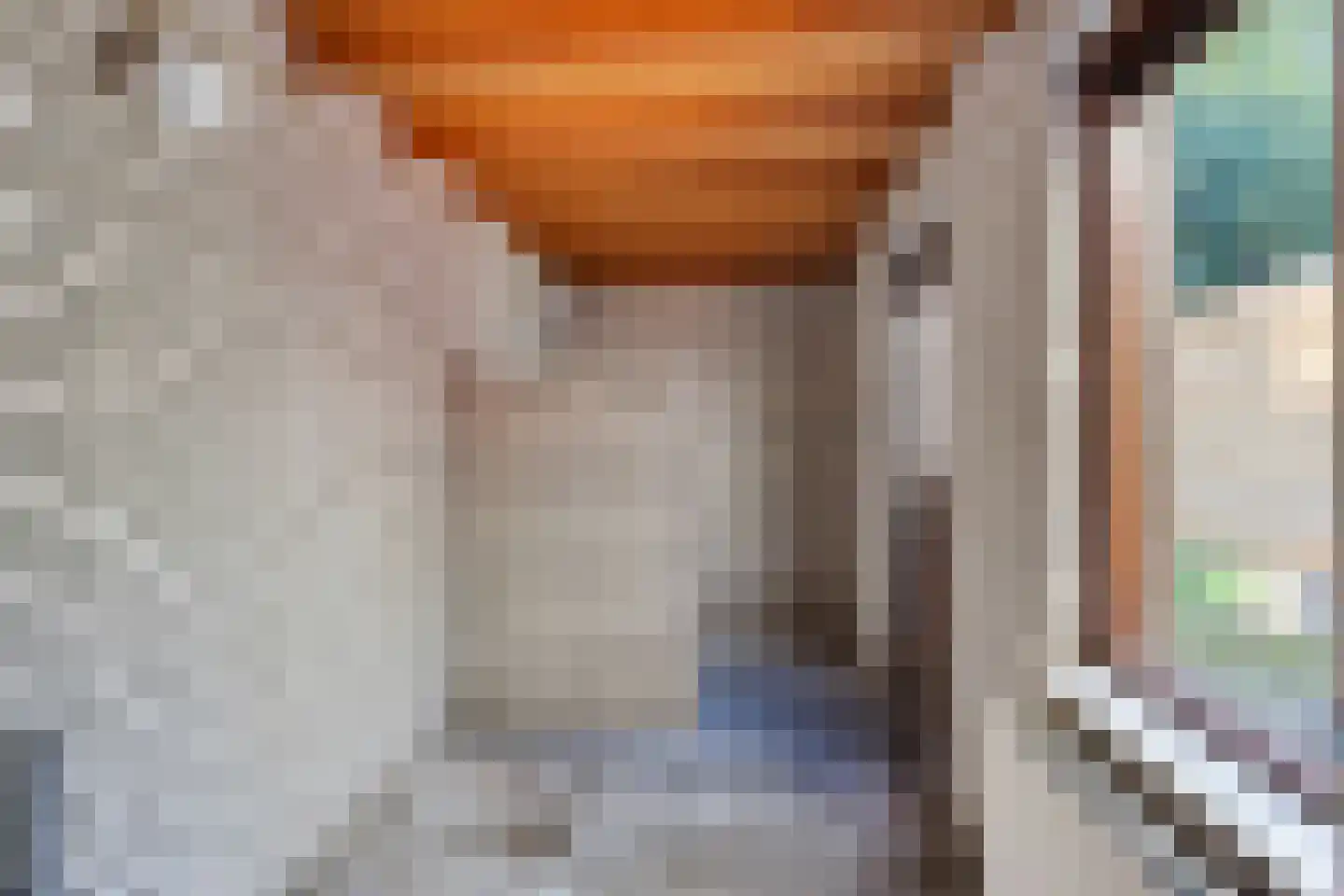 Hofkamp 137 Losser thumbnail 9