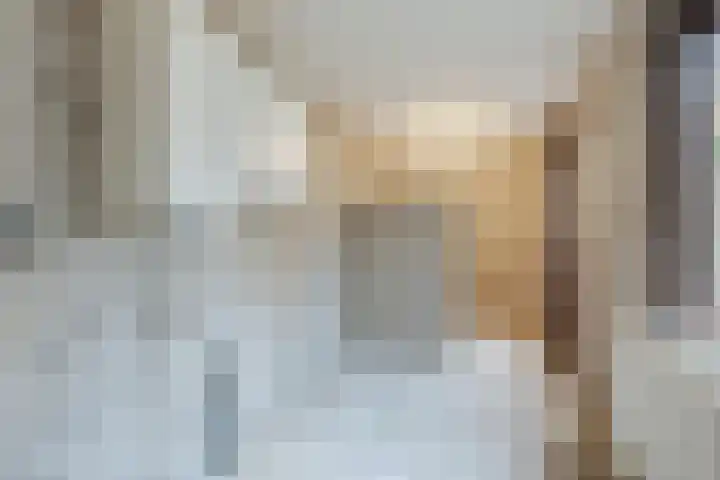 Hofkamp 179 Losser thumbnail 14