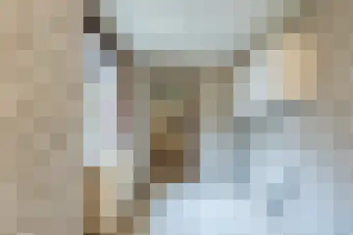 Hofkamp 179 Losser thumbnail 15