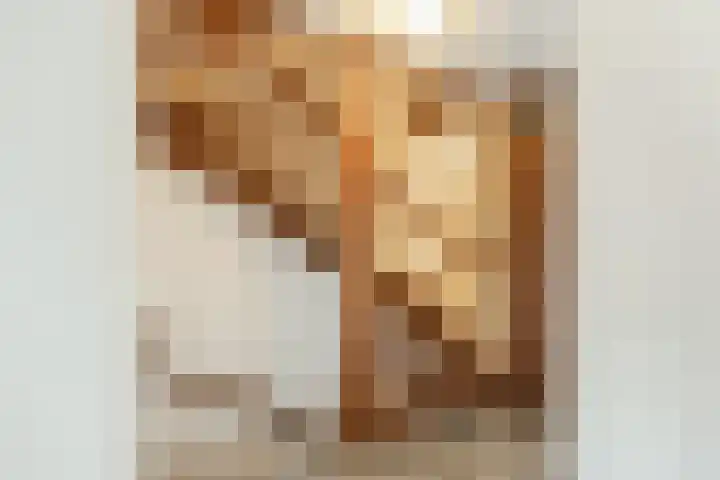 Hofkamp 179 Losser thumbnail 32
