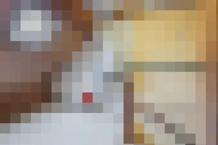Hofkamp 179 Losser thumbnail 34