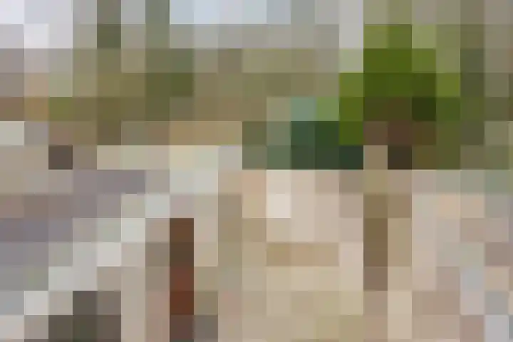 Hofkamp 179 Losser thumbnail 41