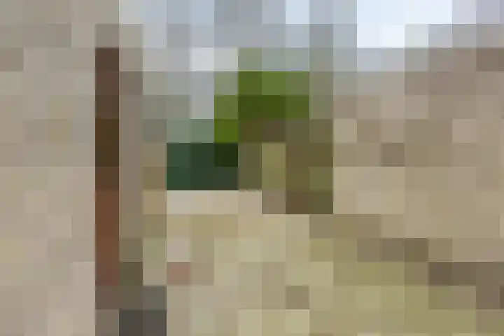 Hofkamp 179 Losser thumbnail 42