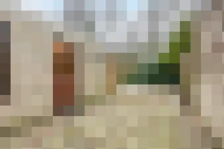 Hofkamp 179 Losser thumbnail 43