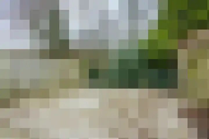 Hofkamp 179 Losser thumbnail 44