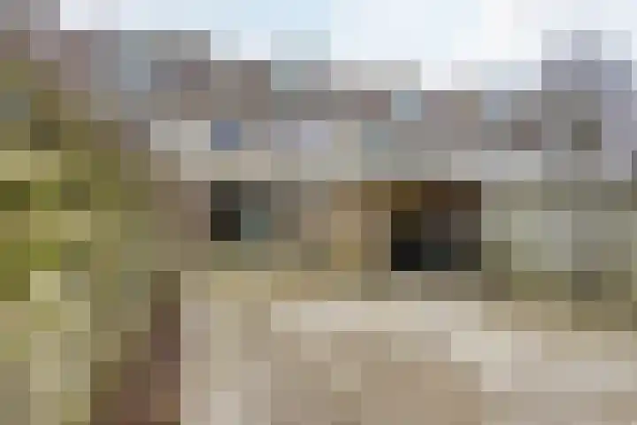 Hofkamp 179 Losser thumbnail 45