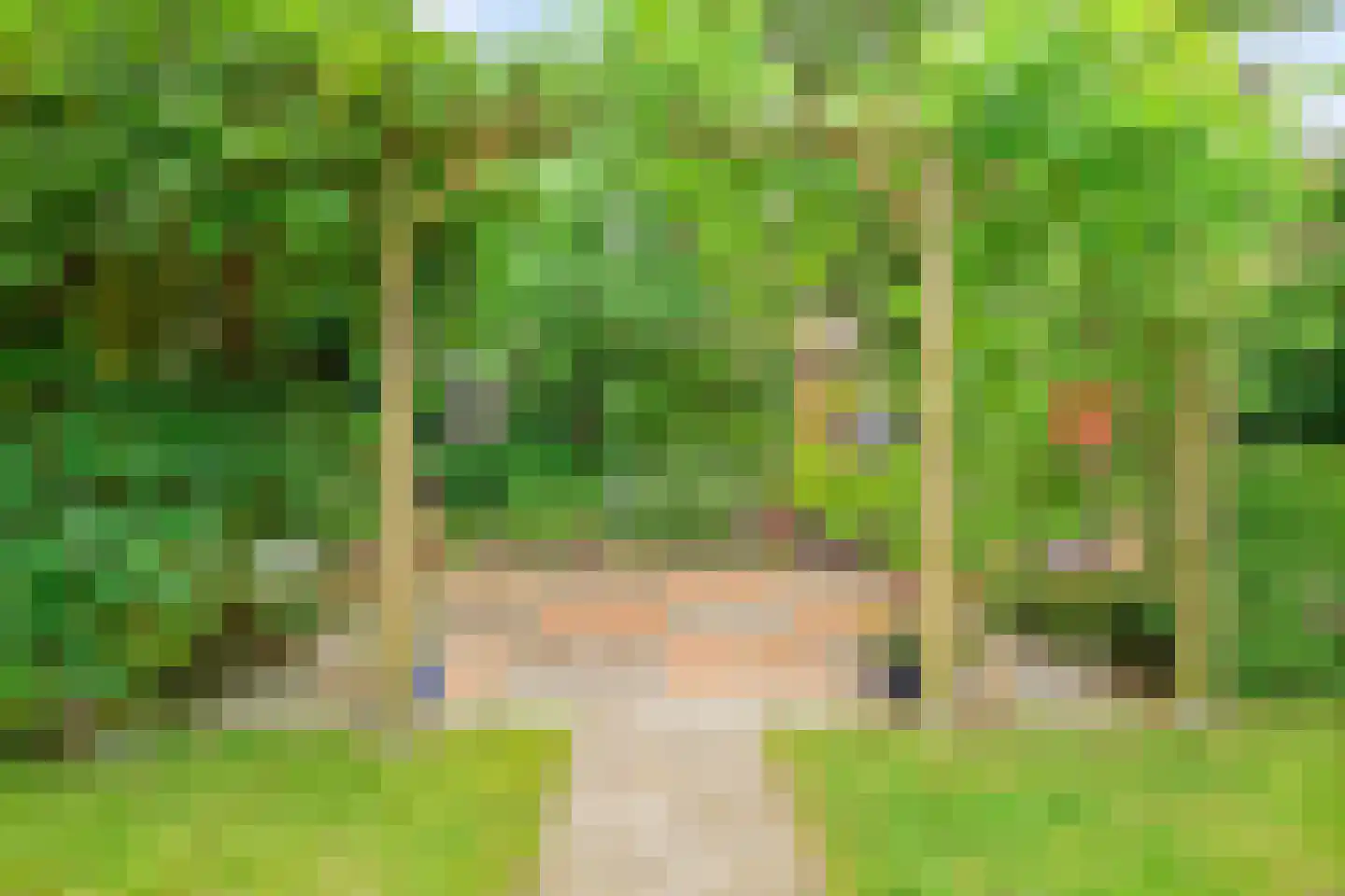 Hofkamp 184 Losser thumbnail 38