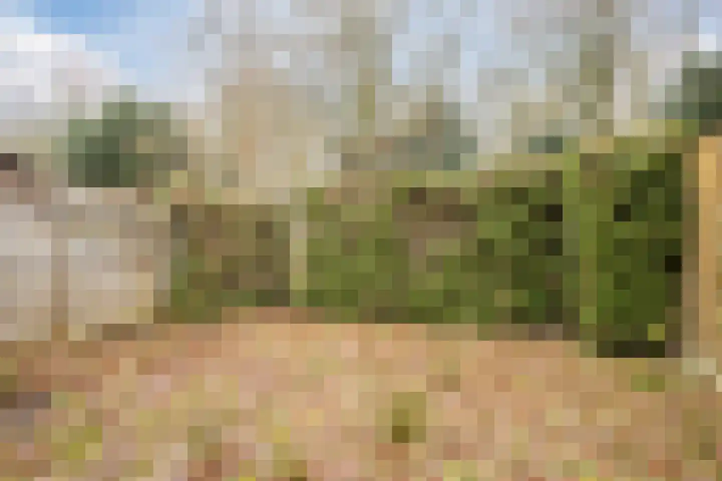 Hofkamp 189 Losser thumbnail 39