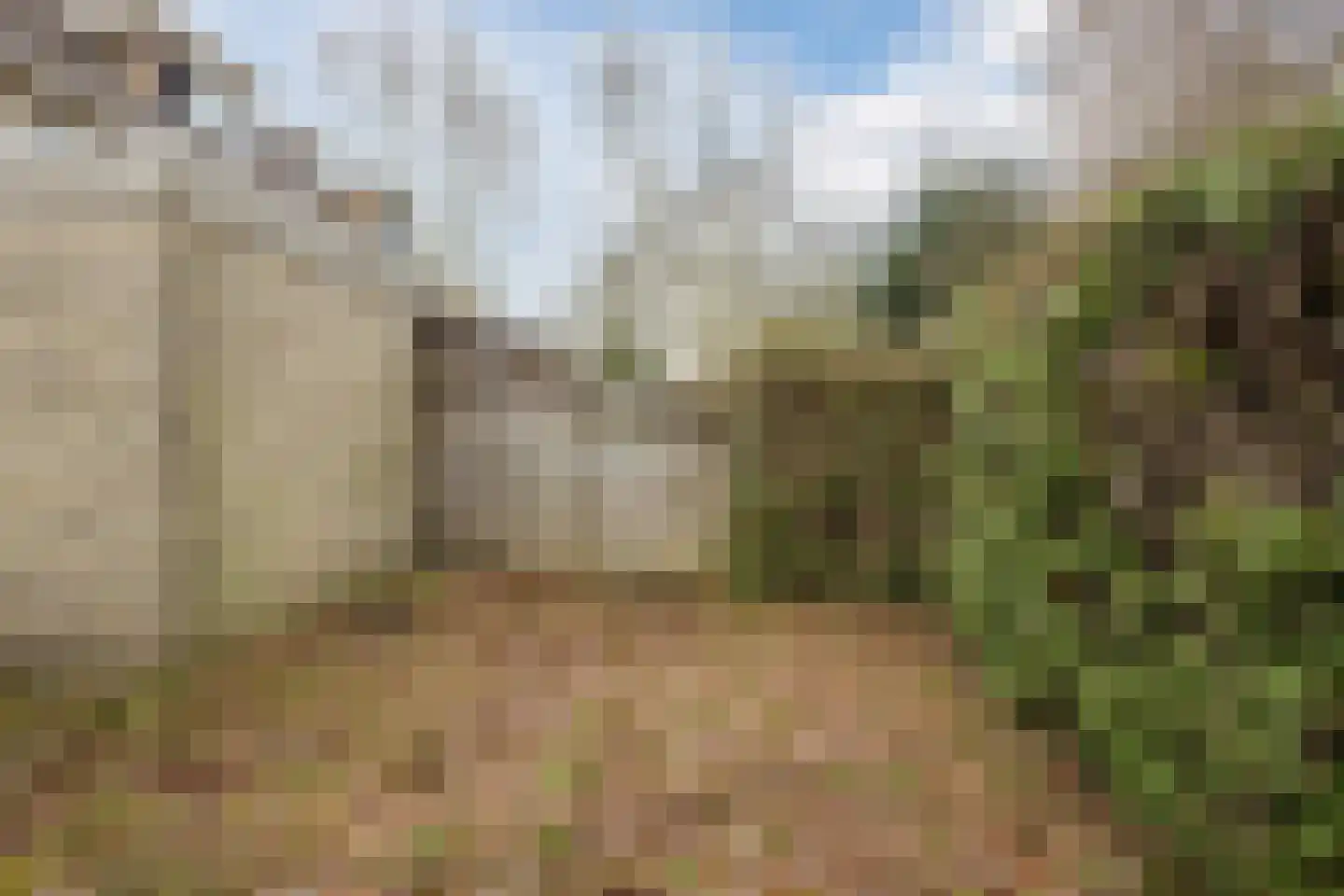 Hofkamp 189 Losser thumbnail 40