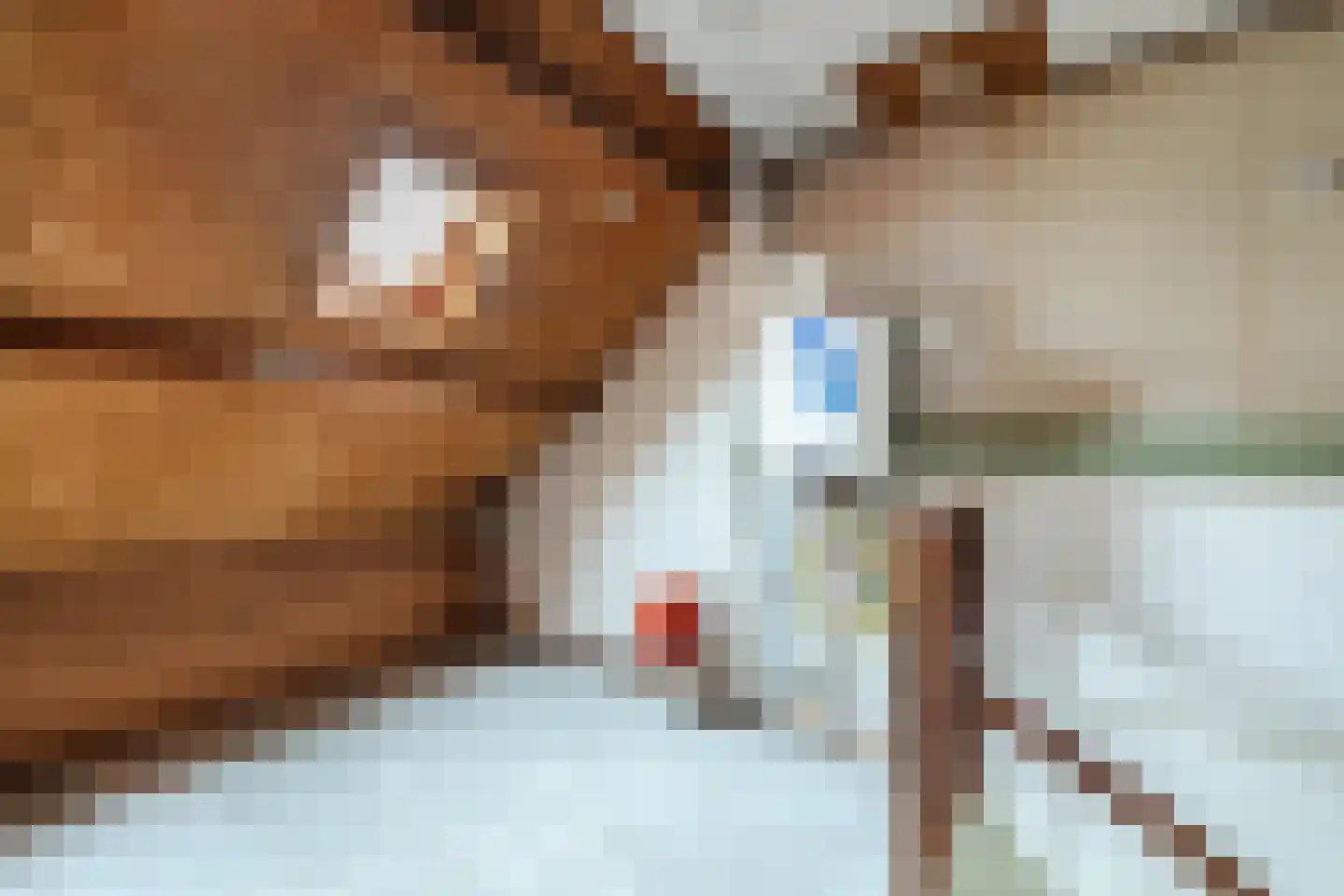 Hofkamp 193 Losser thumbnail 33