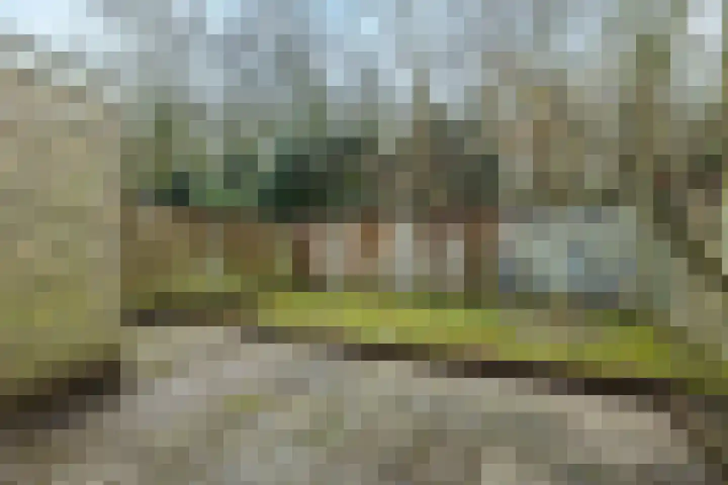 Hofkamp 193 Losser thumbnail 34