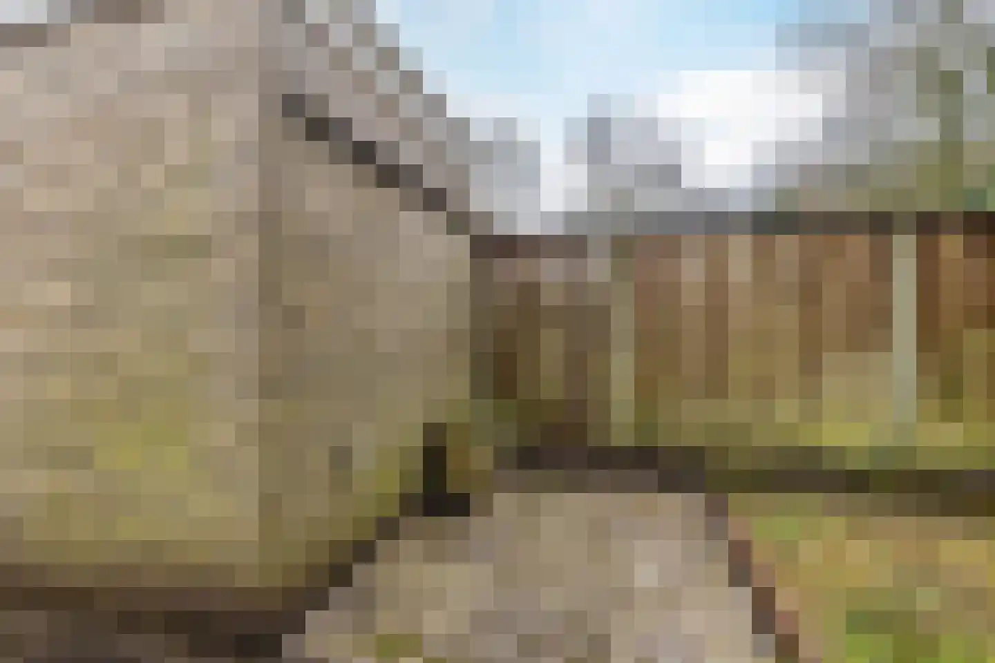 Hofkamp 193 Losser thumbnail 35
