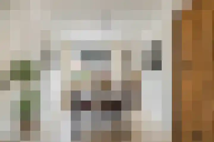 Hofkamp 224 Losser thumbnail 12