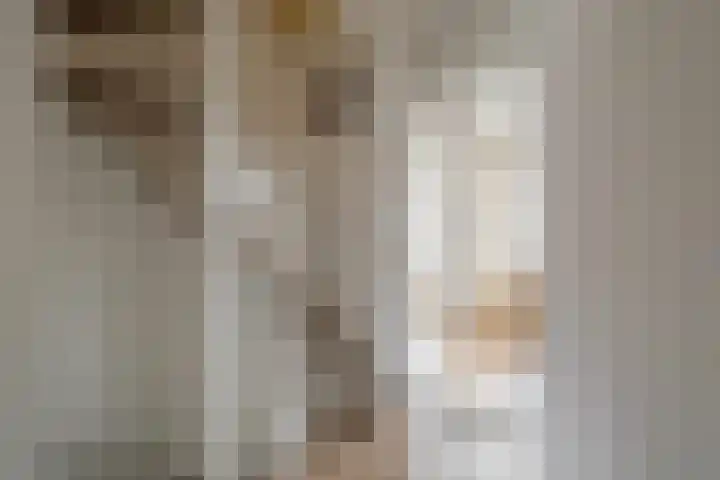 Hofkamp 224 Losser thumbnail 15
