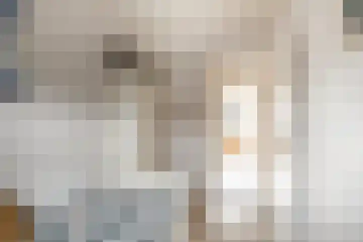 Hofkamp 224 Losser thumbnail 22