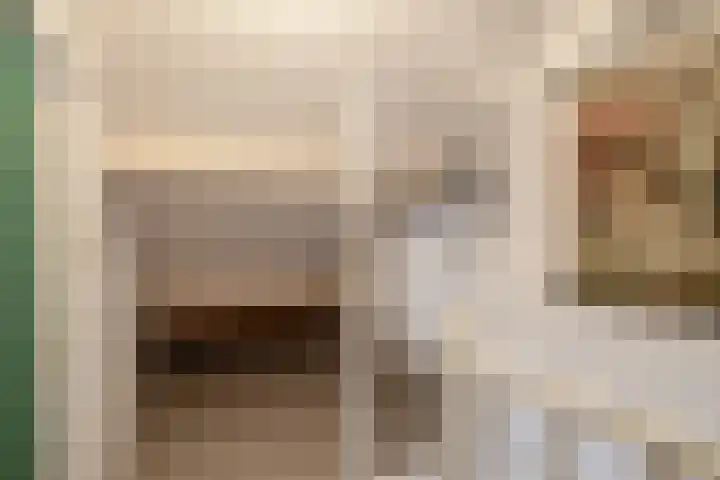 Hofkamp 224 Losser thumbnail 28
