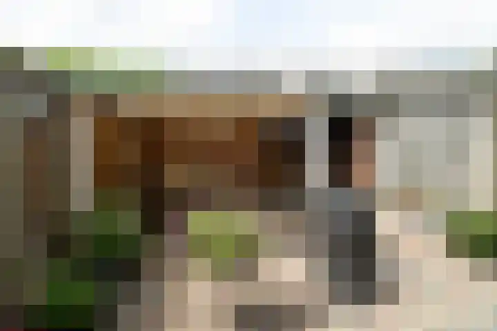 Hofkamp 224 Losser thumbnail 29