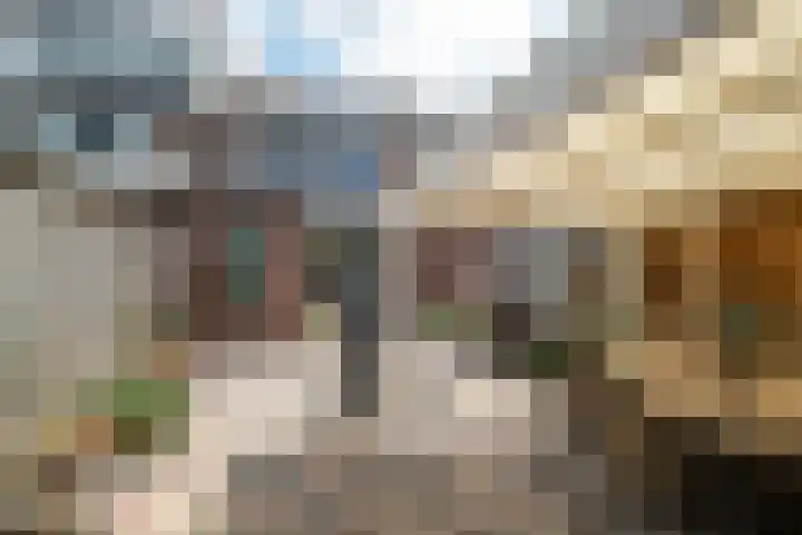 Hofkamp 224 Losser thumbnail 32