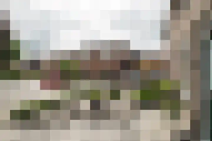 Hofkamp 224 Losser thumbnail 33