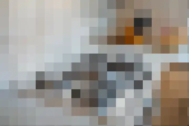Hofkamp 257 Losser thumbnail 18