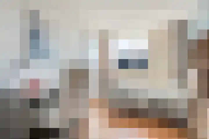 Hofkamp 257 Losser thumbnail 24