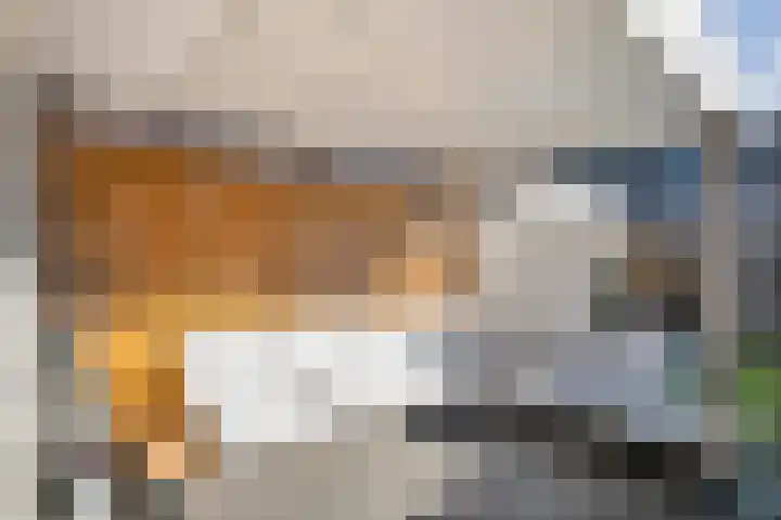 Hofkamp 257 Losser thumbnail 34
