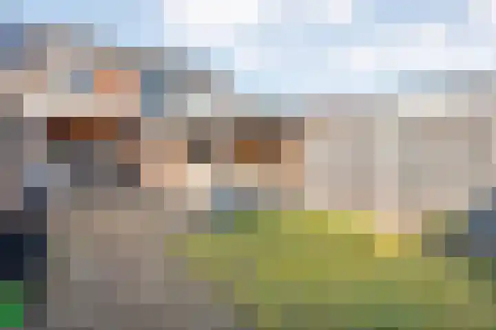 Hofkamp 257 Losser thumbnail 38