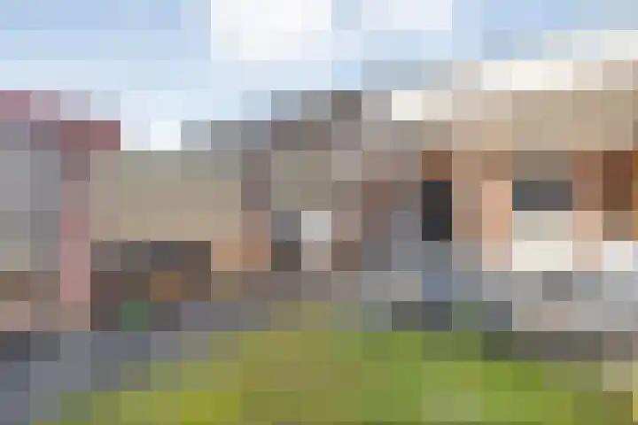 Hofkamp 257 Losser thumbnail 40