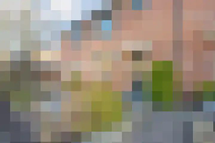 Hofkamp 257 Losser thumbnail 5