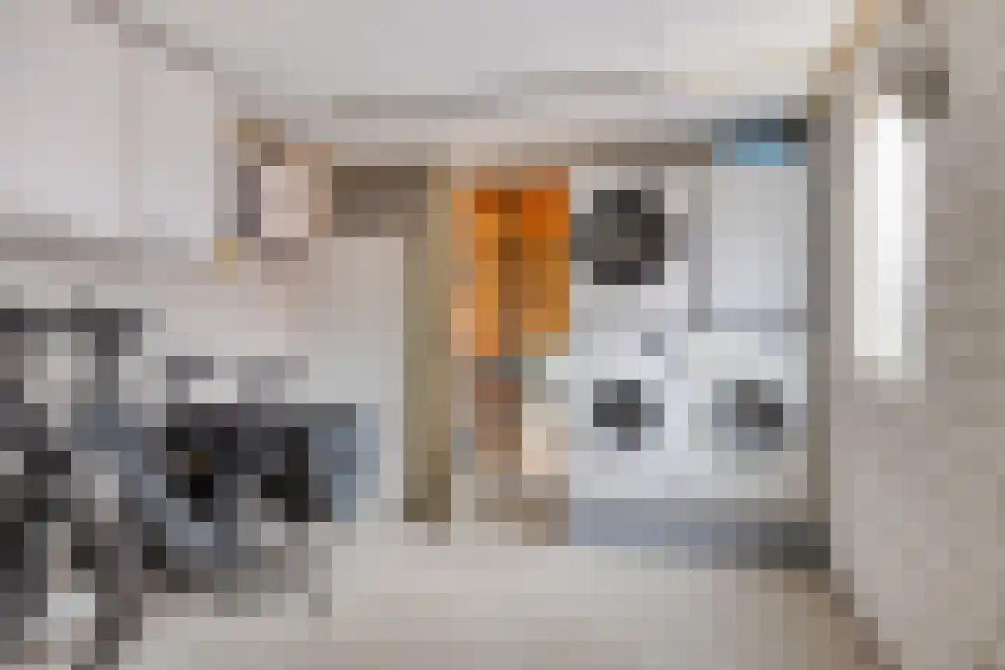 Hofkamp 32 Losser thumbnail 14