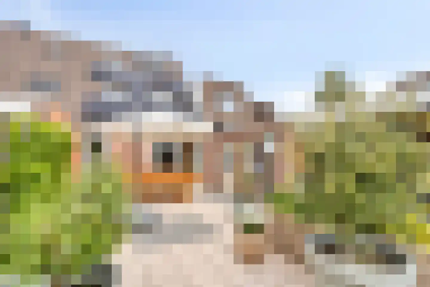Hofkamp 32 Losser thumbnail 26