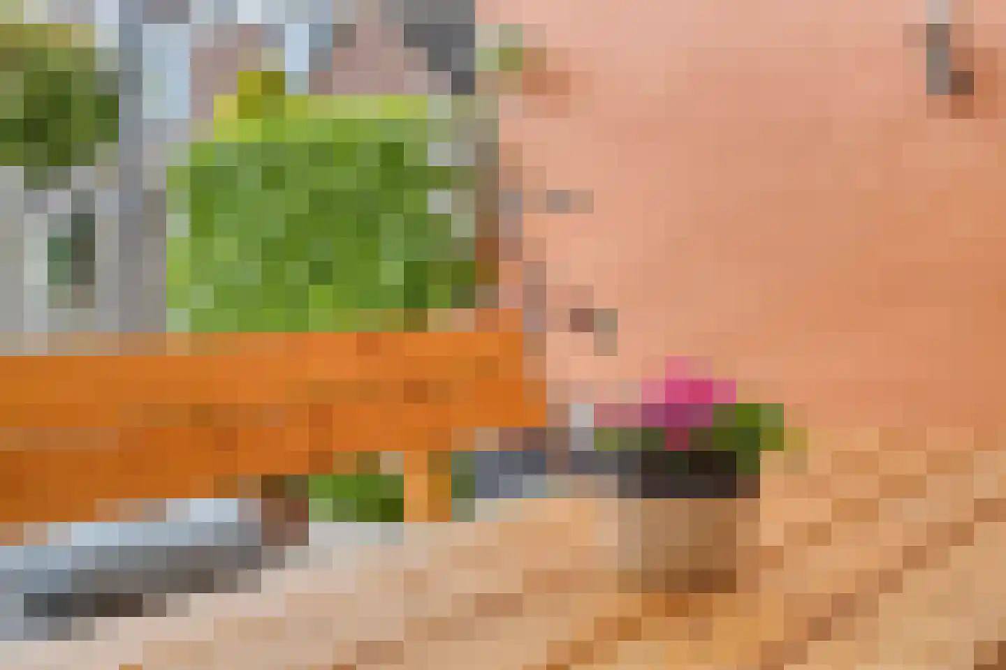 Hofkamp 32 Losser thumbnail 28