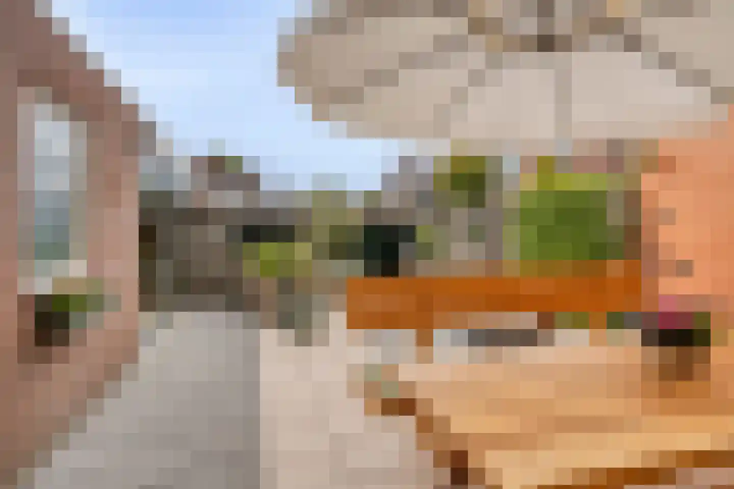 Hofkamp 32 Losser thumbnail 29
