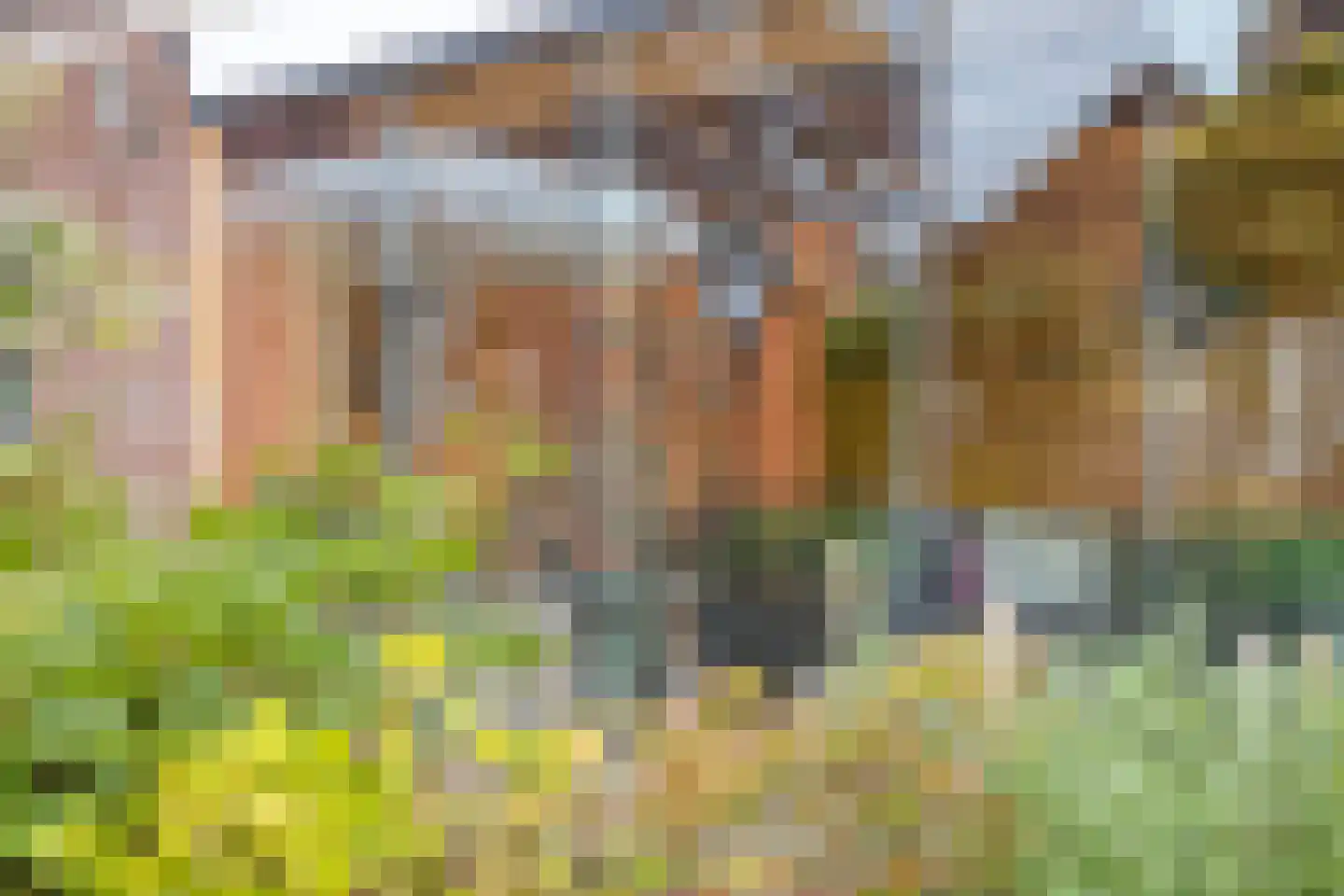 Hofkamp 32 Losser thumbnail 32