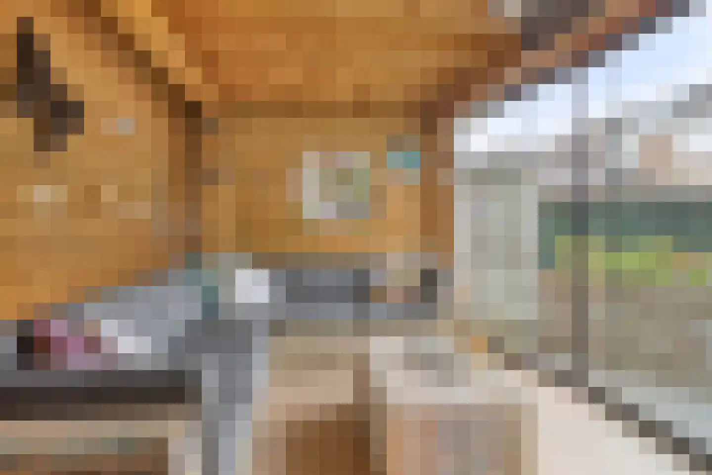 Hofkamp 32 Losser thumbnail 33