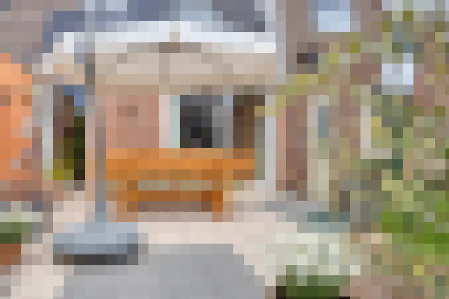 Hofkamp 32 Losser thumbnail 34