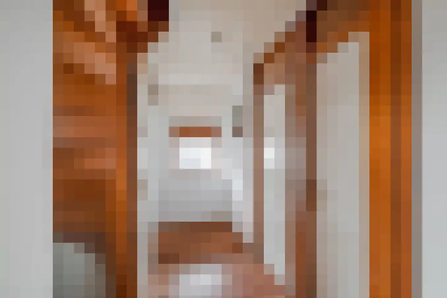Hofkamp 33 Losser thumbnail 18