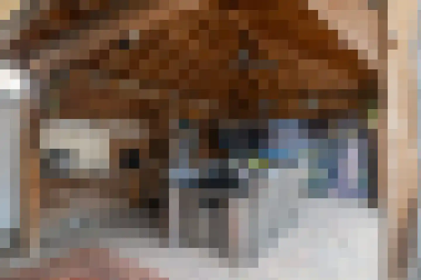 Hofkamp 33 Losser thumbnail 34