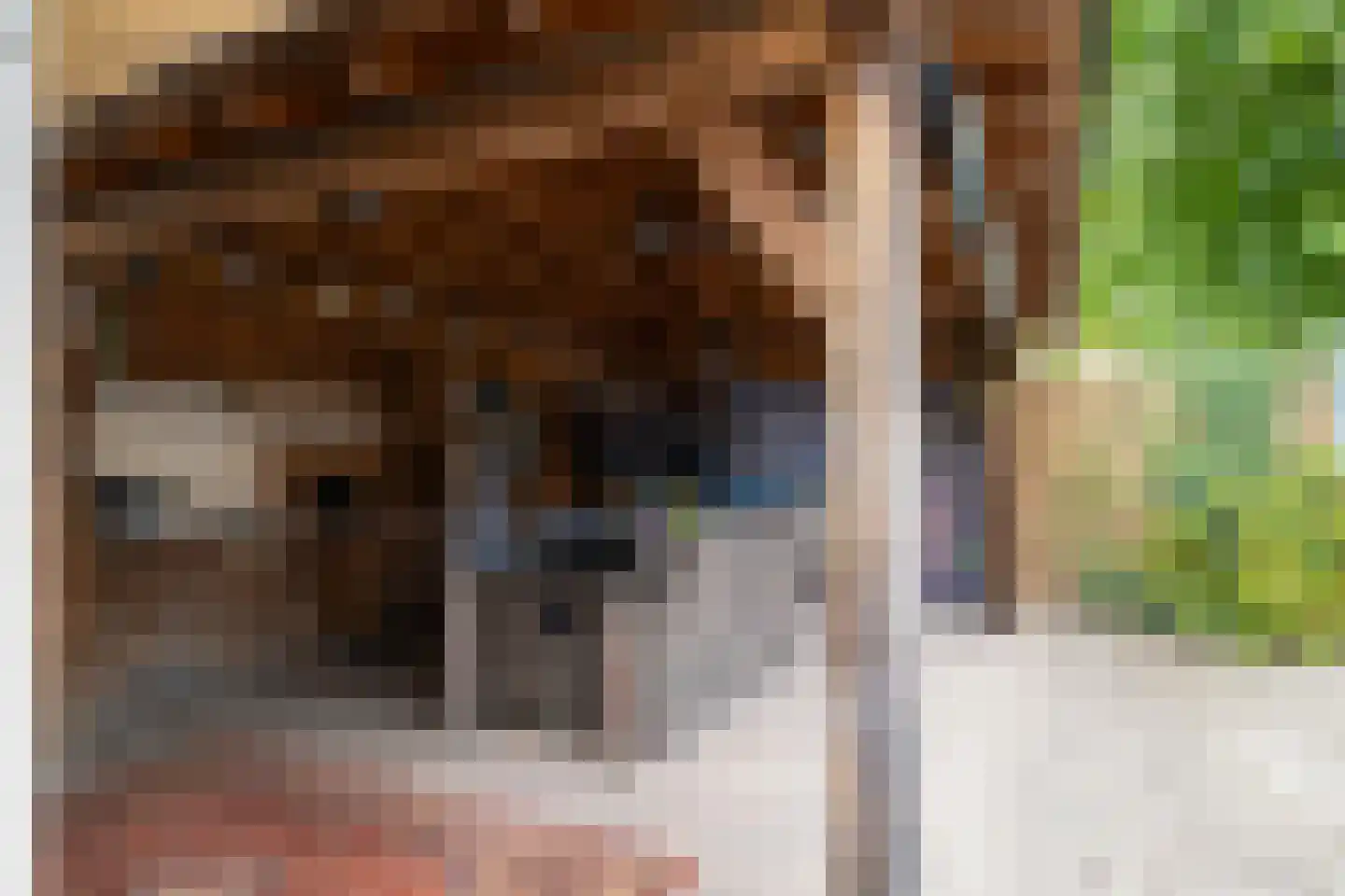 Hofkamp 33 Losser thumbnail 35