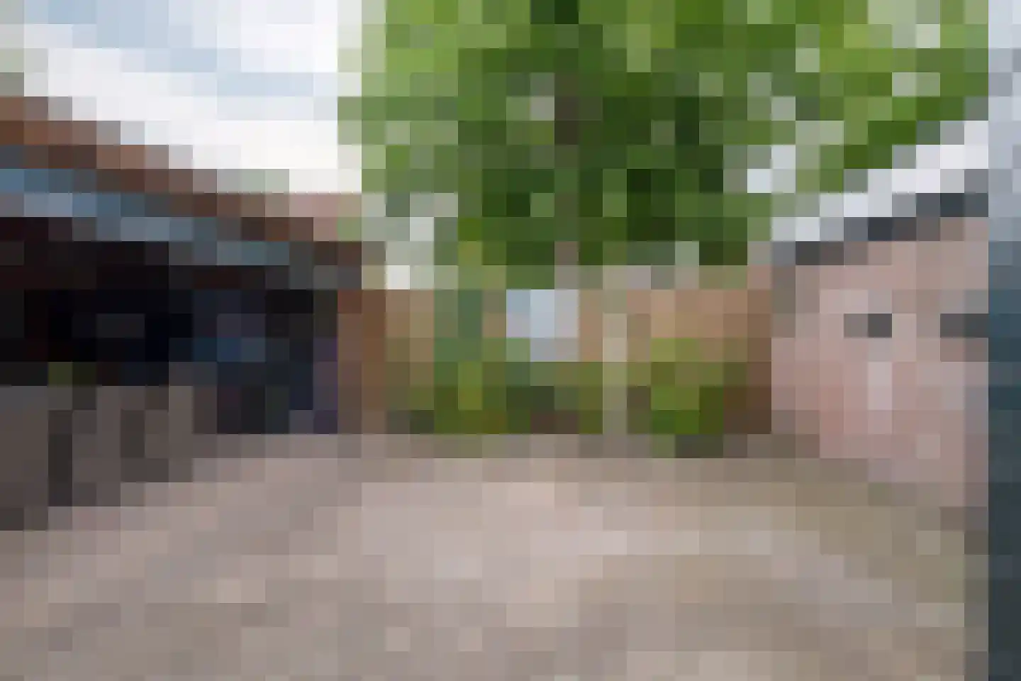 Hofkamp 33 Losser thumbnail 37