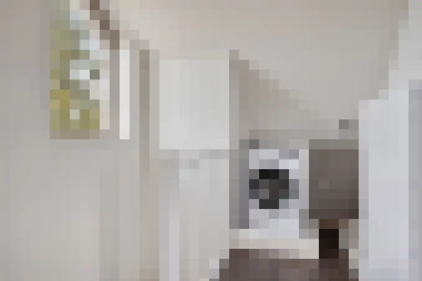 Hofkamp 34 Losser thumbnail 26