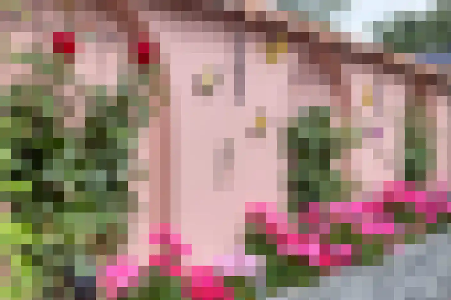 Hofkamp 34 Losser thumbnail 31