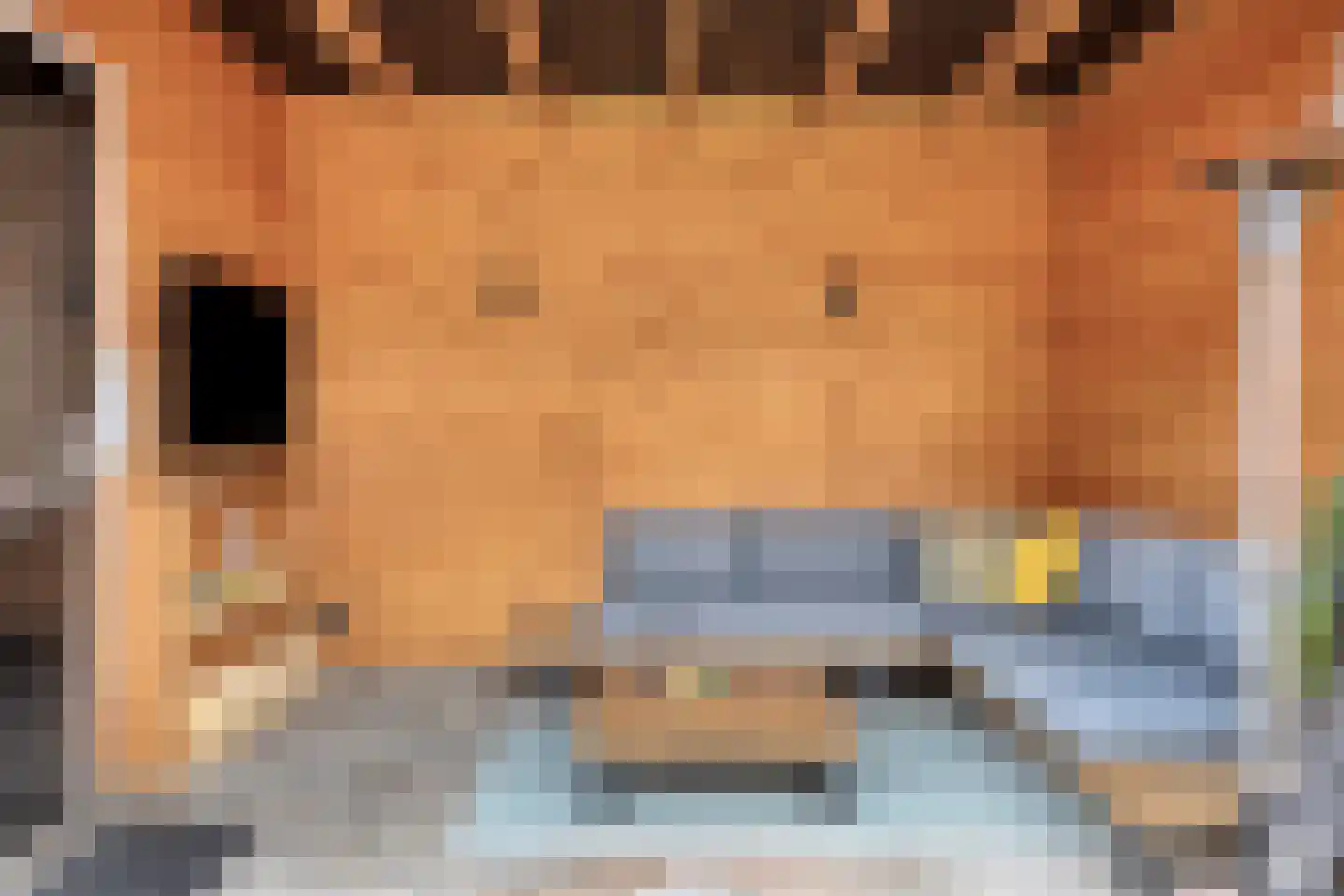 Hofkamp 34 Losser thumbnail 32