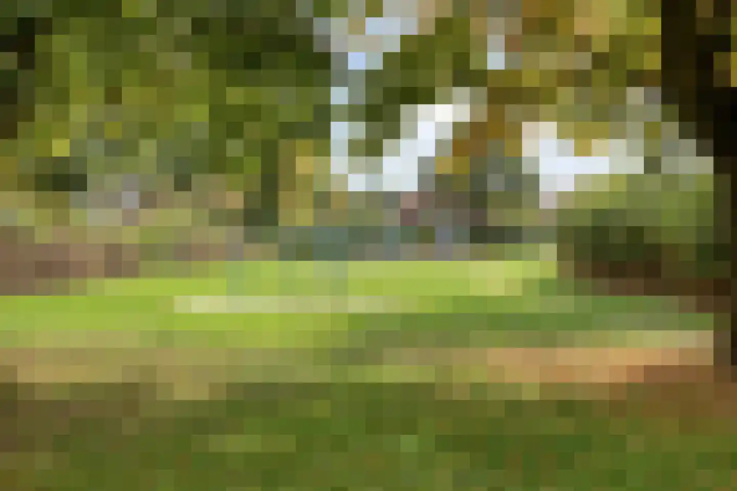 Hofkamp 34 Losser thumbnail 37