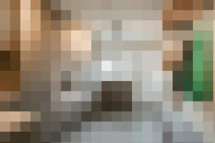 Hofkamp 42 Losser thumbnail 15
