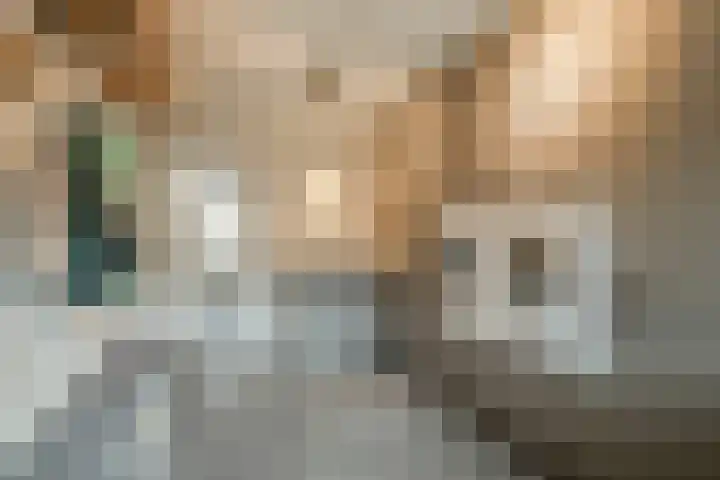 Hofkamp 42 Losser thumbnail 17