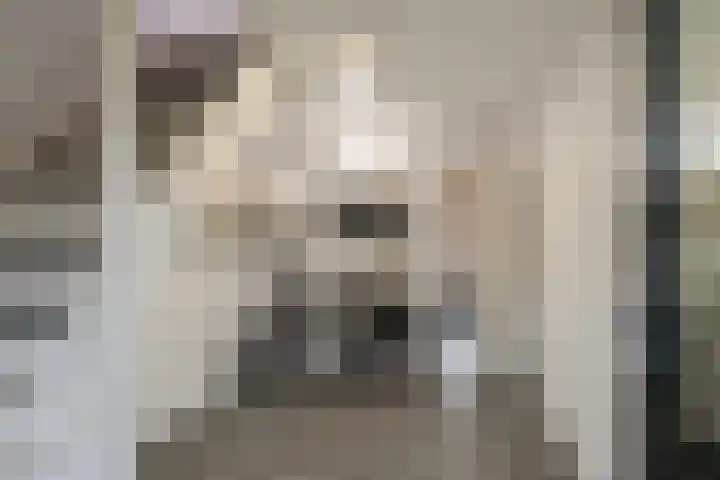 Hofkamp 42 Losser thumbnail 18